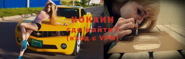 сатива Няндома