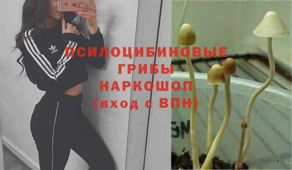 спайс Нягань