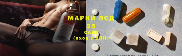 Альфа ПВП Новодвинск