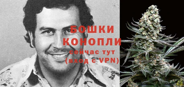 спайс Нягань