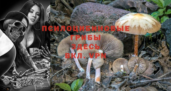 дурь Новокубанск