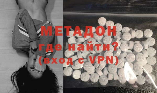 сатива Няндома