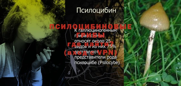 прущие крисы Нязепетровск