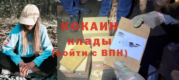 сатива Няндома