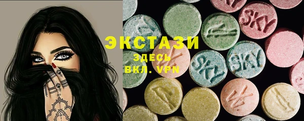 соль ск Новозыбков