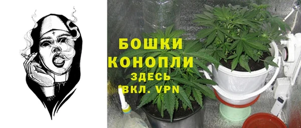 спайс Нягань