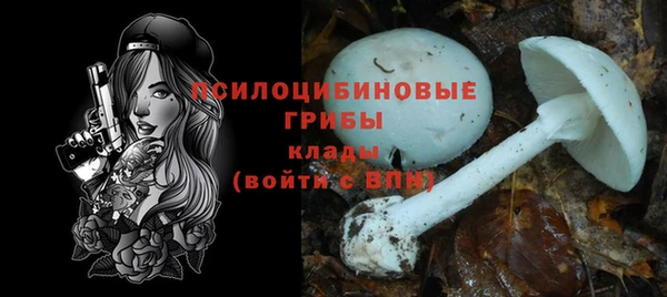 Альфа ПВП Новодвинск