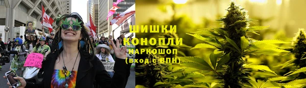спайс Нягань