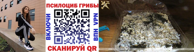 мориарти формула цена Ейск Псилоцибиновые грибы ЛСД