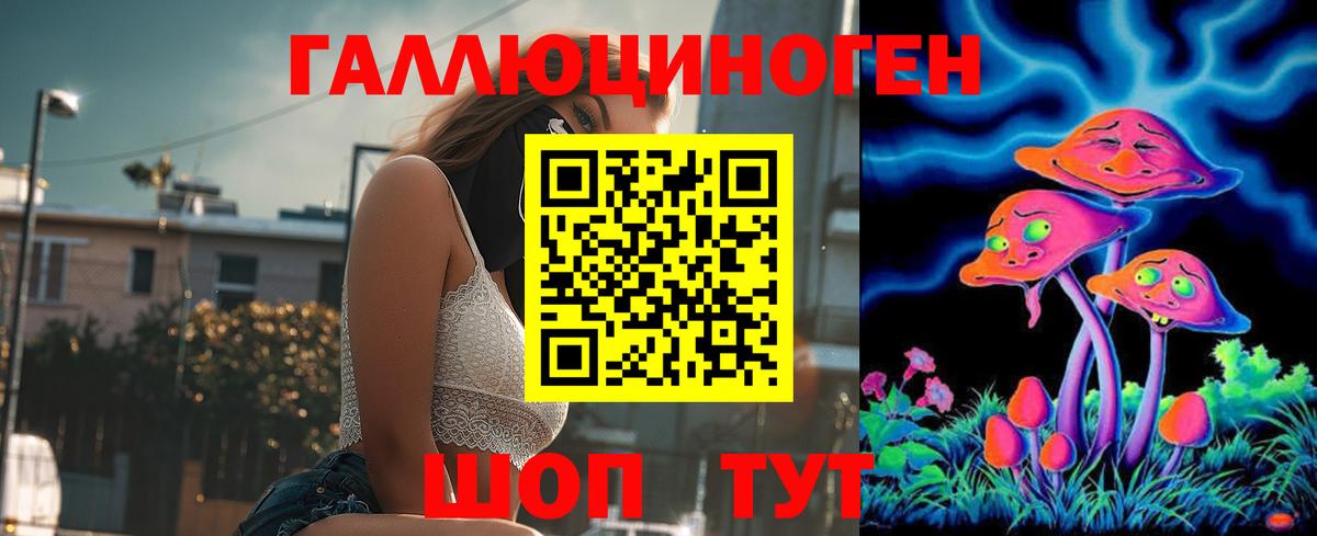 Ейск  Псилоцибиновые грибы Psilocybe  Вход с VPN  Псилоцибиновые грибы MAGIC MUSHROOMS 
