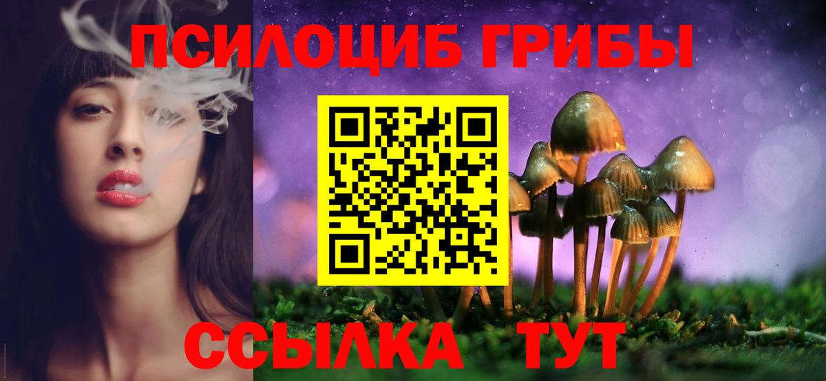 даркнет сайт  Галлюциногенные грибы Cubensis  Ейск  Псилоцибиновые грибы прущие грибы 